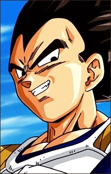 Vegeta – profile photo