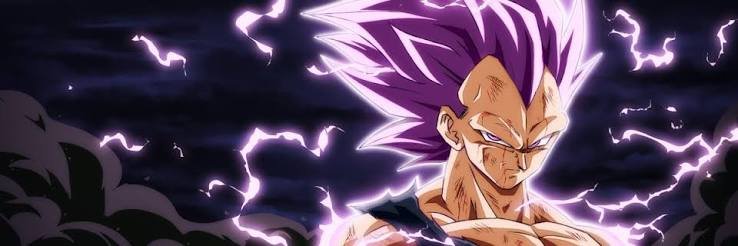 Vegeta banner